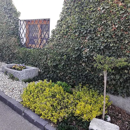 Urlaub Bei Pernsteiner 宾馆 Julbach